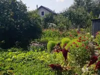 Продам дачу, район с/т Промстроитель, фотография 8