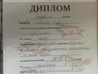 Щенки Курцхаара, фотография 5