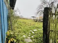 Дом с участком, Минская область, Березинский район, деревня Смолярня, фотография 3