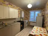 Квартира посуточно в городе Докшицы Витебской области, фотография 3