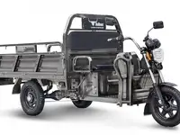 Грузовой электротрицикл rutrike d4 1800 60v1200w