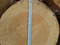 Требуются Рамщики на деревообработку.