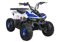 Квадроцикл yacota raposa 110