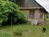 Дом с участком, Д. Пелище, ул, Октябрьская 153, фотография 3