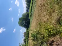 Продажа, Буда, фотография 3