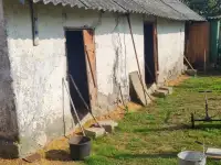 Продается дом в г. Дубровно, фотография 5