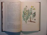 Дикорастущие лекарственные растения СССР..И. Гром, Москва, Медицина, 1976 год, 288 страниц, 153 рисунка., фотография 8