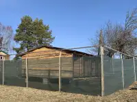 Дрессировка собак, фотография 8