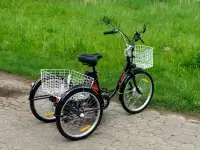 Электровелосипед AVM E-ALFA TRIKE 24, фотография 7