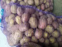 Продам картофель крупный и мелкий