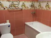 Посуточная аренда  квартир в п.Новоколосово, фотография 11