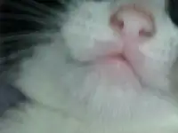 малыш ждет вас, фотография 2