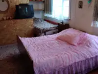 Сдам дачу, Могилевская обл., район, пос.Грудичино, фотография 5