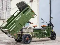 Грузовой электротрицикл rutrike дукат 1500 60v1000w, фотография 9