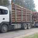 Требуется водитель на лесовоз Scania