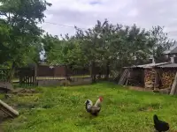 Продам дом в деревне Булавки, фотография 10