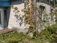 Продать дом, Витебскоя обл.докшицкий р_н.деревня витуничи, фотография 3