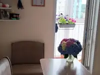 Сдам квартиру., Ул.Ивана Мазалова 1кв29, фотография 5