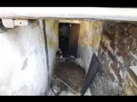 Гараж в ПГСК  Механизатор 24 м.КВ., фотография 5