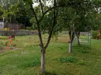 Участок- дача в живописном месте в Столбцовском районе, фотография 2