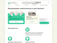 Создам дизайн сайта, баннера, фотография 5