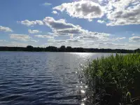 Дом с участком, д. Ёди дом 7 район Гродненская область, фотография 7