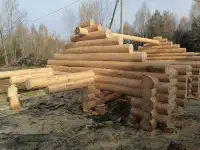 Сруб Дома бани из леса кругляка, фотография 3