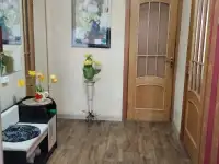 Сдам посуточно, фотография 10