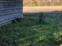 Продажа жилого дома в живописном месте с видом на лес, фотография 11