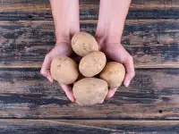 Картофель продовольственный свежий