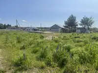 Покос травы, бурьяна, фотография 2