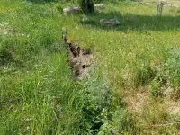 Участок со срубом дома в 5 мин от Червеня!, фотография 8
