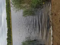 Продам дачу, Полоцкий район СТ 