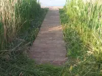 Дом на берегу озера Балаше, район, д. Мурмишки, д. 10, фотография 11