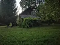 Бревенчатый дом в лесу у ручья деревни Сусловка, фотография 10