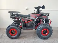 Квадроцикл yacota vektor 125, фотография 2