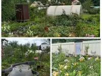 Продам дачу, СТ Добосна, фотография 4