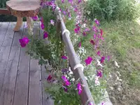 Сдам дом на берегу озера в Браславском районе, район, д.Голубовщина д.14, фотография 10