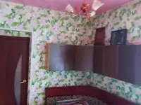 Продаётся 2 комнатная квартира в коттеджном доме, лепель гагарина 6, фотография 3