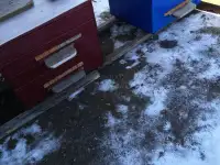 Продам ульи, фотография 2