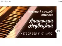 Ведущий на свадьбу, юбилей., фотография 4
