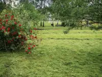 Дом, дачный участок, садовый дом, фотография 9