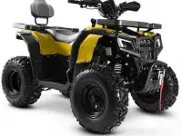 Квадроцикл Progasi RaceJumper 200 (к-т з/ч), фотография 10
