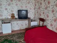 Продается квартира в 2 квартирном катедже, Михайловка, р-н до парич 8 км,светлогорск 33км,бобруйск 40 км, фотография 5