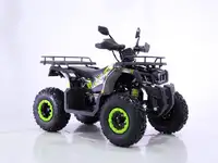 Квадроцикл yacota warrior 200