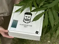 Франшиза скандинавских тортов