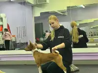 Хендлер в Минске, фотография 4