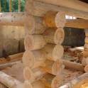 Срубы домов,бань,беседок из бревна ручной оцилиндровки., фотография 11