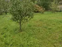 Участок 10 соток, частная собственность, до г. Молодечно 24км. Реальному покупателю торг., фотография 6