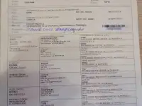 Продам щенков западно сибирской лайки, фотография 6
